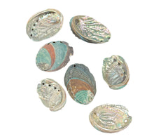 Load image into Gallery viewer, Abalone Shell- Mini
