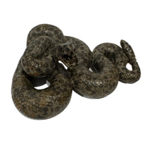Load image into Gallery viewer, Leopard Skin Jasper Snake