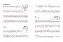 Load image into Gallery viewer, KITCHEN WITCH BY SKYE ALEXANDER