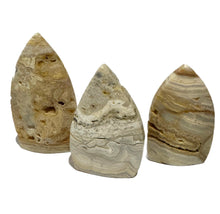 Load image into Gallery viewer, Crazy Lace Freeform