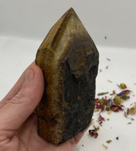Load image into Gallery viewer, Tiger Eye Semi Polished Point