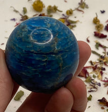 Load image into Gallery viewer, Apatite Spheres