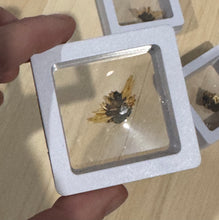 Load image into Gallery viewer, Rutile in case