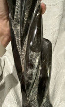 Load image into Gallery viewer, Fossil Orthoceras Tower