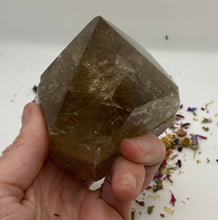 Load image into Gallery viewer, Smoky Quartz Semi Polished Cut Base Points