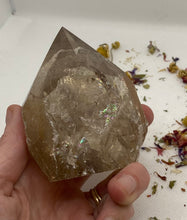 Load image into Gallery viewer, Smoky Quartz Semi Polished Cut Base Points