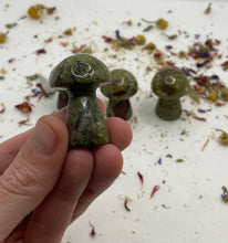 Load image into Gallery viewer, Dragonsblood mushrooms