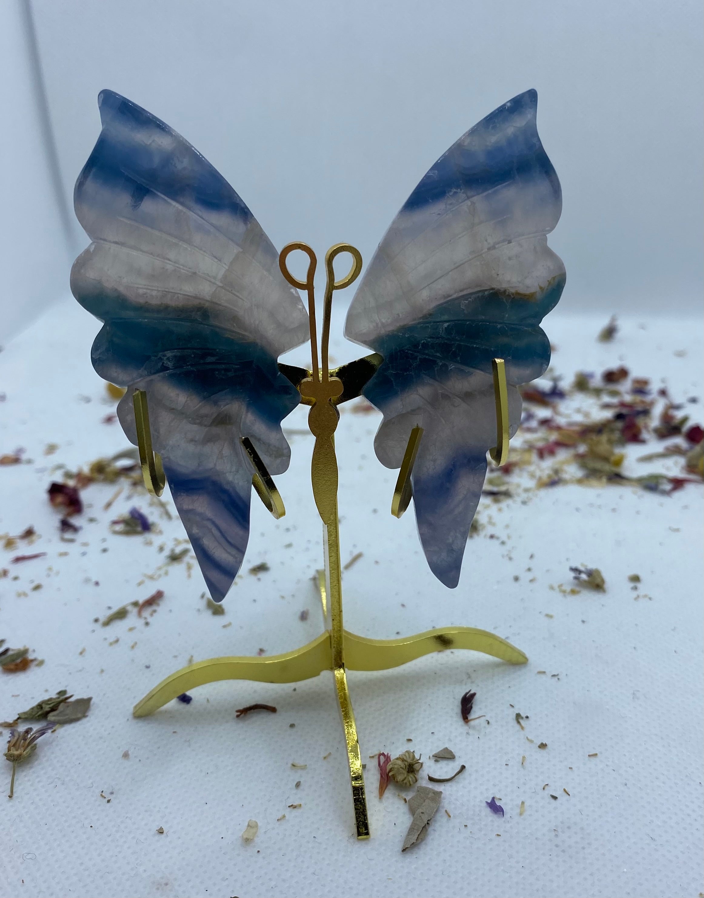 Fluorite Butterfly Wing Set With Stand Luna Crystal Creations