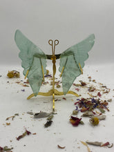 Load image into Gallery viewer, Fluorite Butterfly Wing Set- With Stand