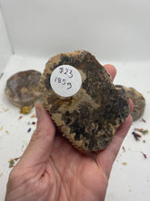 Load image into Gallery viewer, Petrified Wood Slabs