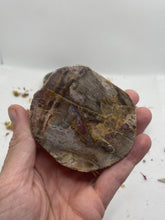 Load image into Gallery viewer, Petrified Wood Slabs