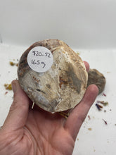 Load image into Gallery viewer, Petrified Wood Slabs