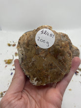 Load image into Gallery viewer, Petrified Wood Slabs
