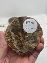 Load image into Gallery viewer, Petrified Wood Slabs