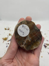 Load image into Gallery viewer, Petrified Wood Slabs