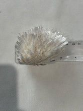 Load image into Gallery viewer, Mesolite- Rare