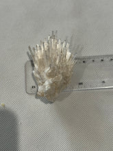 Load image into Gallery viewer, Mesolite- Rare