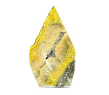 Load image into Gallery viewer, Bumblebee Jasper Freeform