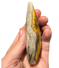 Load image into Gallery viewer, Bumblebee Jasper Freeform