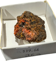 Load image into Gallery viewer, Crocoite