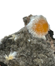 Load image into Gallery viewer, Orange Thomsonite- Rare