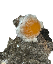 Load image into Gallery viewer, Orange Thomsonite- Rare