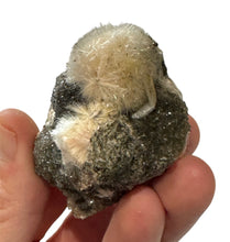 Load image into Gallery viewer, Orange Thomsonite- Rare