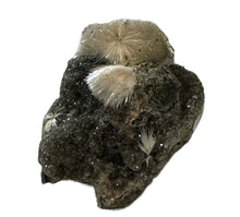 Load image into Gallery viewer, Orange Thomsonite- Rare