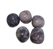 Load image into Gallery viewer, Lepidolite Tumbles - Brazil