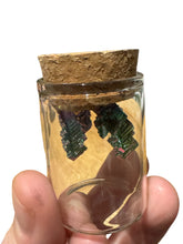 Load image into Gallery viewer, Bismuth Bottles