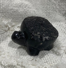 Load image into Gallery viewer, Agni Manitite Turtle