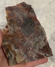 Load image into Gallery viewer, Crazy Lace Agate slab- Free Standing