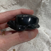 Load image into Gallery viewer, Agni Manitite Turtle