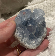 Load image into Gallery viewer, Celestite Cluster