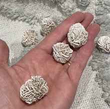 Load image into Gallery viewer, Desert Rose