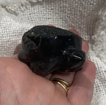 Load image into Gallery viewer, Agni Manitite Turtle