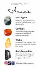 Load image into Gallery viewer, Aries Crystal Bag