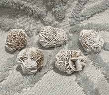 Load image into Gallery viewer, Desert Rose