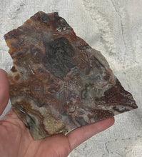 Load image into Gallery viewer, Crazy Lace Agate slab- Free Standing