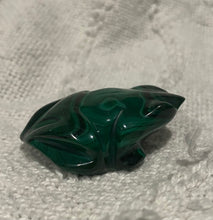 Load image into Gallery viewer, Malachite frog