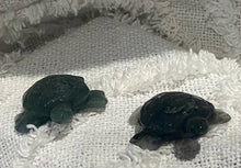 Load image into Gallery viewer, Moss Agate Turtle