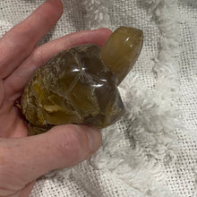 Load image into Gallery viewer, Translucent Moss Agate Turtle Carving
