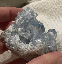 Load image into Gallery viewer, Celestite Cluster