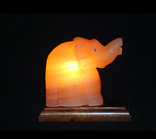 Load image into Gallery viewer, Himalayan Salt Elephant Lamp