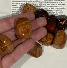 Load image into Gallery viewer, Petrified Wood Tumble