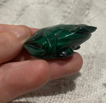 Load image into Gallery viewer, Malachite frog