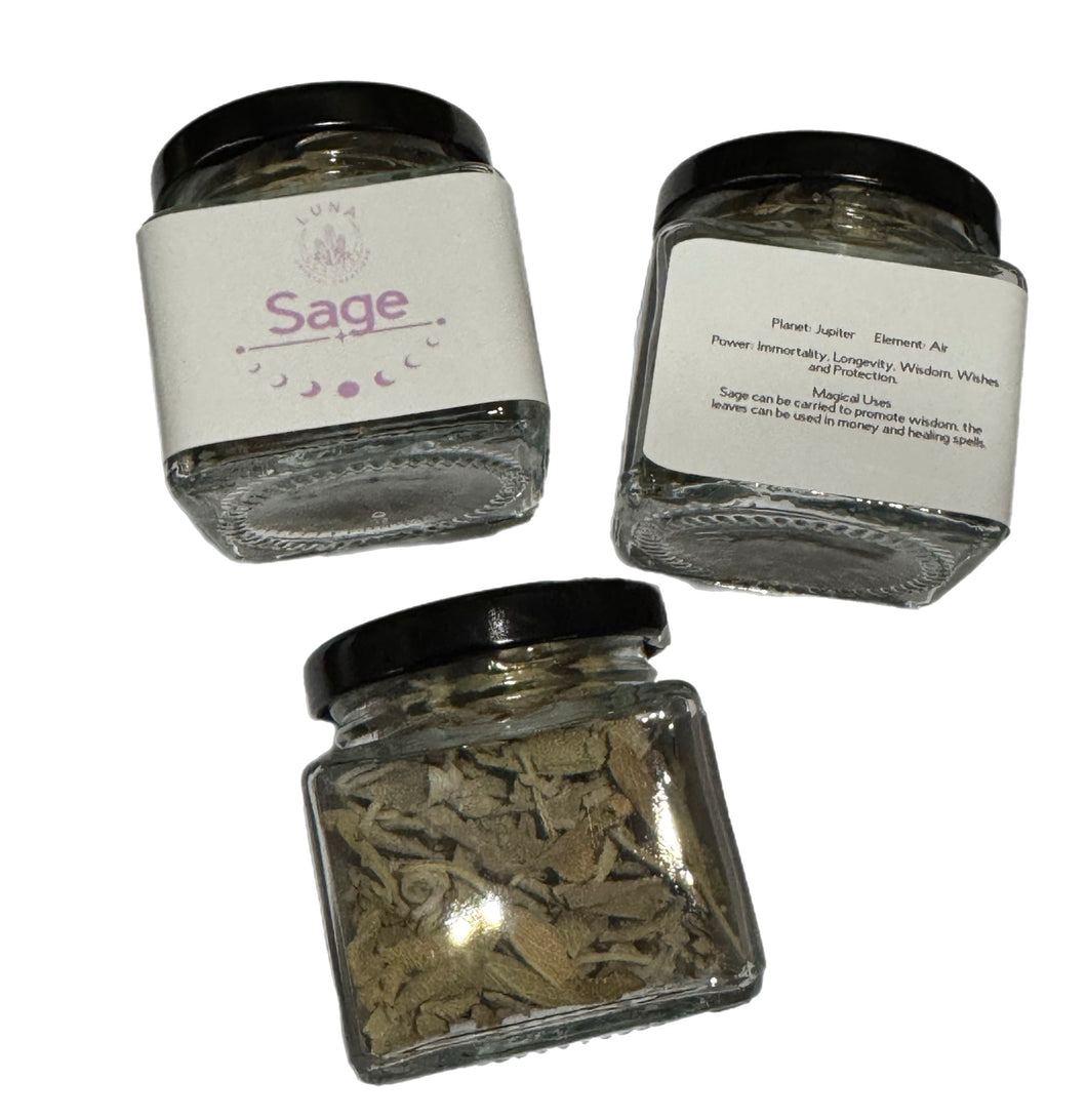 HERB: Sage