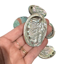 Load image into Gallery viewer, Abalone Shell- Mini
