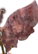 Load image into Gallery viewer, Pink Amethyst Butterfly- Small
