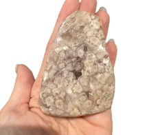 Load image into Gallery viewer, Flower agate Freeform’s
